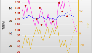 performance management chart numbers