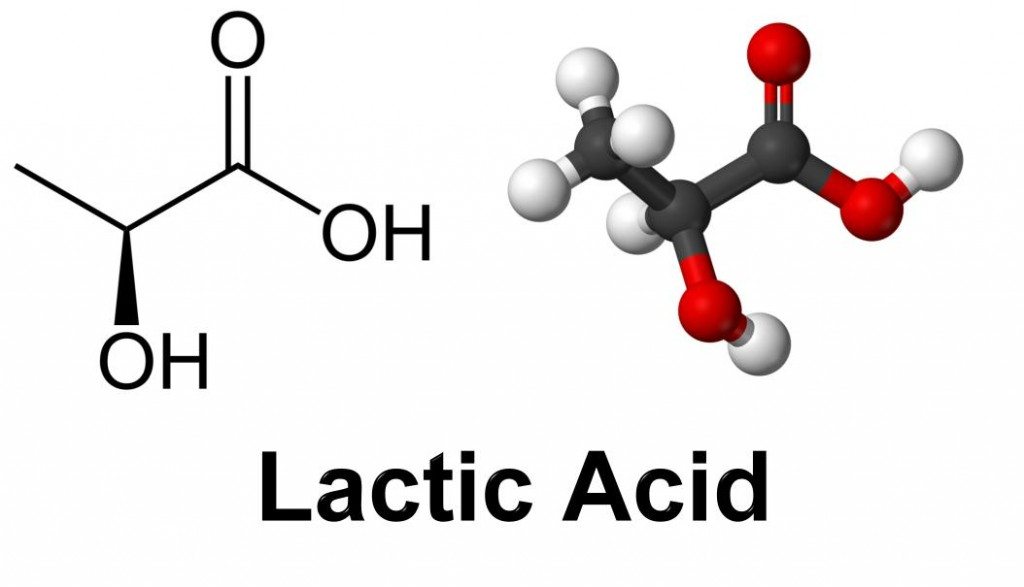 Biohacking Lactic Acid Tailwind Coaching Fitness Physiology