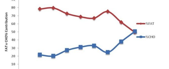 Fasted training results