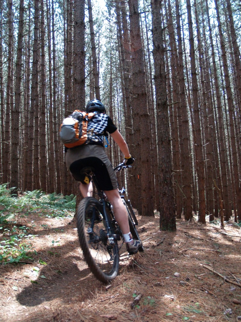 best exercises for mountain biking
